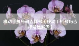 移动手机号码吉祥号（移动手机号码吉祥号是多少）
