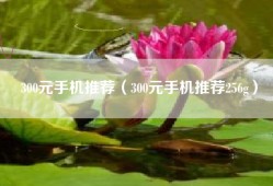 300元手机推荐（300元手机推荐256g）