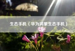 生态手机（华为鸿蒙生态手机）