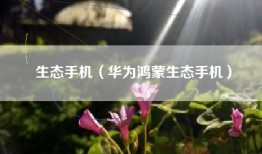 生态手机（华为鸿蒙生态手机）