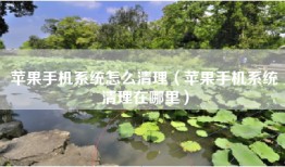 苹果手机系统怎么清理（苹果手机系统清理在哪里）