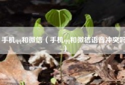 手机qq和微信（手机qq和微信语音冲突吗）