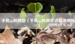 手机qq和微信（手机qq和微信语音冲突吗）
