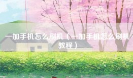一加手机怎么刷机（一加手机怎么刷机教程）