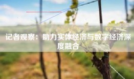 记者观察：助力实体经济与数字经济深度融合