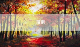 搜索
