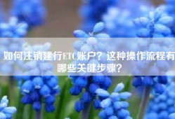 如何注销建行ETC账户？这种操作流程有哪些关键步骤？