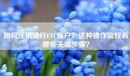 如何注销建行ETC账户？这种操作流程有哪些关键步骤？