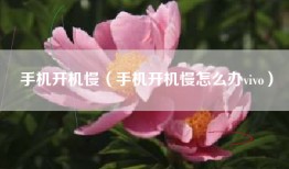 手机开机慢（手机开机慢怎么办vivo）