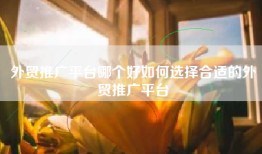外贸推广平台哪个好如何选择合适的外贸推广平台