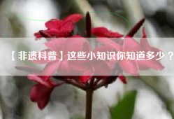 【非遗科普】这些小知识你知道多少 ？