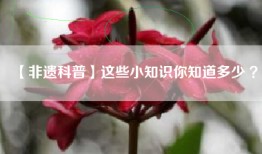 【非遗科普】这些小知识你知道多少 ？