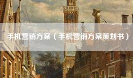 手机营销方案（手机营销方案策划书）