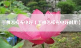 手机怎样充电好（手机怎样充电好耐用）