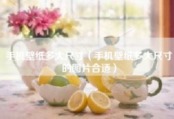 手机壁纸多大尺寸（手机壁纸多大尺寸的图片合适）