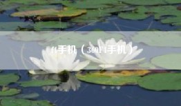 f4手机(360F4手机)
