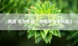 美国 华为手机（美国华为手机店）