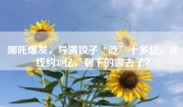 哪吒爆发，导演饺子“吃”十多亿，光线约30亿，剩下的哪去了？