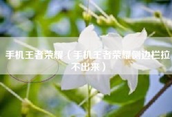 手机王者荣耀（手机王者荣耀侧边栏拉不出来）