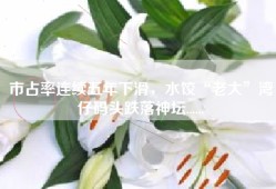 市占率连续五年下滑，水饺“老大”湾仔码头跌落神坛......