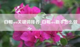 白帽seo关键词排名_白帽seo新手怎么做