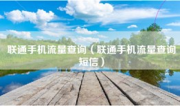 联通手机流量查询（联通手机流量查询短信）