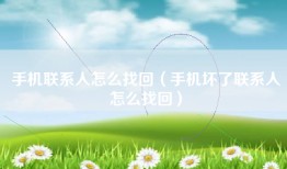 手机联系人怎么找回（手机坏了联系人怎么找回）