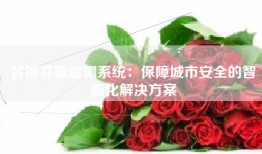 智能井盖监测系统：保障城市安全的智能化解决方案