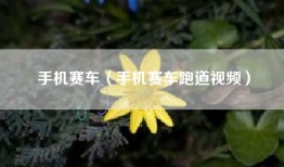 手机赛车（手机赛车跑道视频）