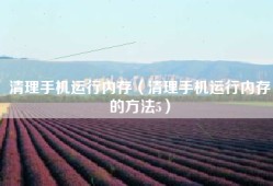 清理手机运行内存（清理手机运行内存的方法5）