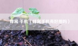 蜂窝 手机（蜂窝手机壳好用吗）