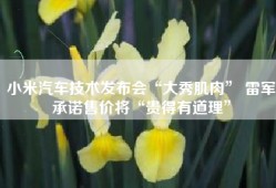 小米汽车技术发布会“大秀肌肉” 雷军承诺售价将“贵得有道理”