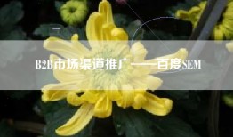B2B市场渠道推广——百度SEM
