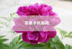 苹果手机新闻