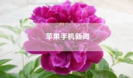 苹果手机新闻