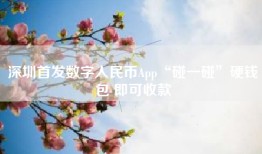 深圳首发数字人民币App“碰一碰”硬钱包 即可收款