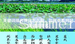 关键词排名优化怎么做，如何查看网站关键词排名