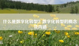 什么是数字化转型？数字化转型的概念及内涵