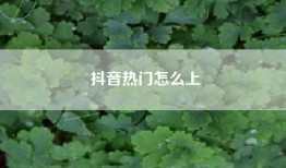 抖音热门怎么上