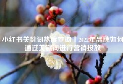 小红书关键词热度查询丨2022年品牌如何通过关键词进行营销投放