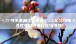 小红书关键词热度查询丨2022年品牌如何通过关键词进行营销投放