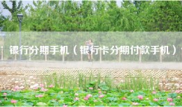 银行分期手机（银行卡分期付款手机）
