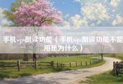 手机wps朗读功能（手机wps朗读功能不能用是为什么）