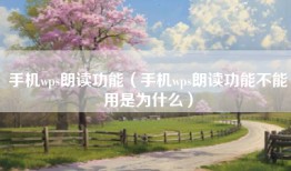 手机wps朗读功能（手机wps朗读功能不能用是为什么）