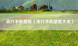 流行手机壁纸（流行手机壁纸大全）