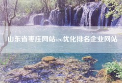 山东省枣庄网站seo优化排名企业网站