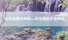 山东省枣庄网站seo优化排名企业网站