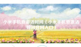 小米手机查激活时间（小米手机查激活时间官网入口）