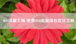 SEO流量工具-免费SEO流量排名优化工具