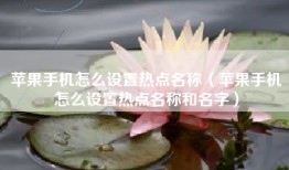 苹果手机怎么设置热点名称（苹果手机怎么设置热点名称和名字）